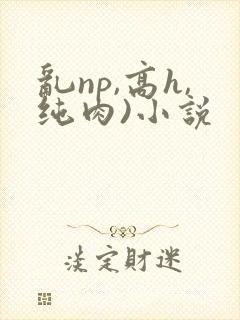乱np,高h,纯肉)小说