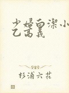 少妇白洁小说王乙高义封面