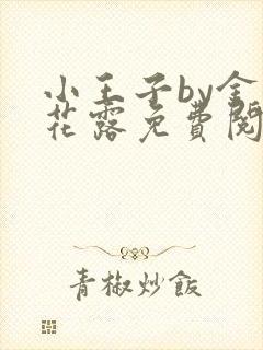 小王子by金银花露免费阅读笔趣阁