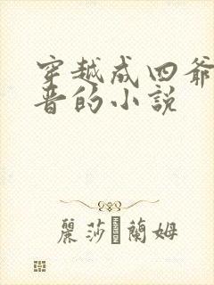 穿越成四爷嫡福晋的小说