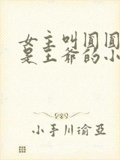 女主叫圆圆男主是王爷的小说