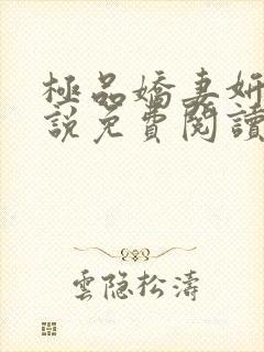 极品娇妻妍珊小说免费阅读封面