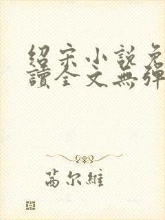 绍宋小说免费阅读全文无弹窗封面