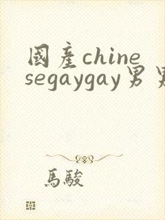 国产chinesegaygay男男