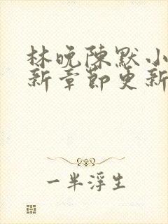 林晚陈默小说最新章节更新时间