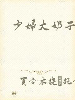 少妇大奶子小说