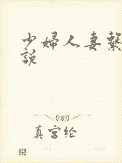 少妇人妻系列小说