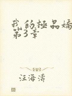 我的极品娇妻 第3章