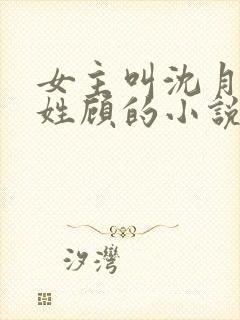 女主叫沈月男主姓顾的小说