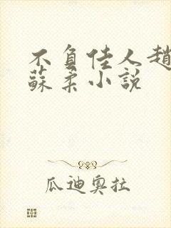 不负佳人赵刚 苏柔小说