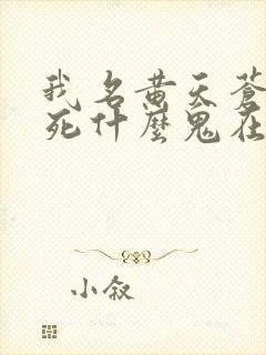 我名黄天苍天已死什么鬼在线阅读