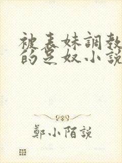 被表妹调教成她的足奴小说封面