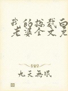 我的总裁白富美老婆全文免费读