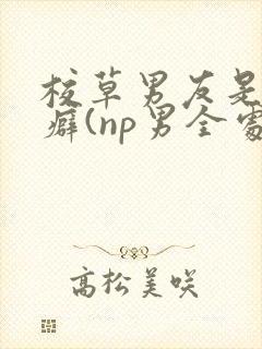 校草男友是绿帽癖(np男全处)