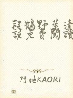 段鹤野叶清璃小说免费阅读最新章节