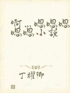 啊…嗯嗯嗯嗯嗯嗯嗯小说