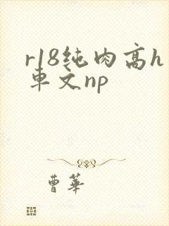 r18纯肉高h车文np