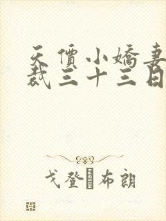 天价小娇妻 总裁三十三日索情