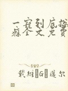 一宠到底总裁上瘾全文免费阅读封面