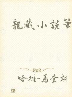 龙藏小说笔趣阁封面