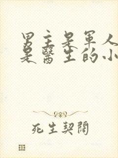 男主是军人女主是医生的小说