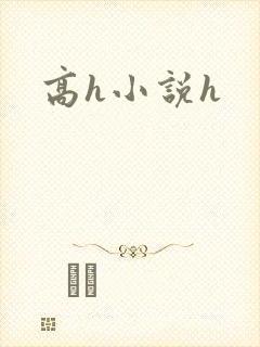 高h小说h封面
