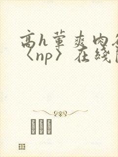 高h荤爽肉欲文〈np〉在线阅读