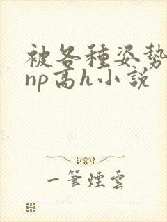 被各种姿势玩弄np高h小说