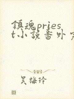 镇魂priest小说番外完整版