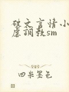 破文言情小说性虐调教sm