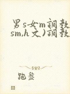 男s女m调教(sm,h文)调教小乳