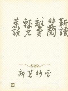 叶轻离裴靳墨小说免费阅读无弹窗