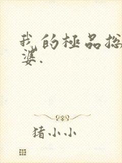 我的极品总裁老婆.