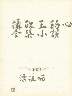 摄政王的心尖宠全集小说封面