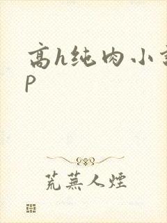 高h纯肉小说np