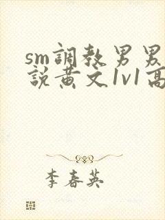 sm调教男男小说黄文1v1高h强制