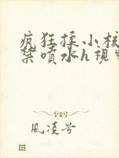 疯狂揉小核到失禁喷水h视频