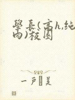 学长(高h,纯肉)校园