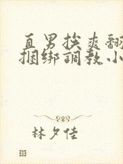 直男挨爽翻呻淫捆绑调教小蓝