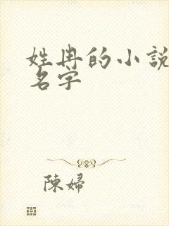 姓冉的小说女主名字