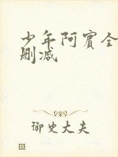 少年阿宾全文无删减封面