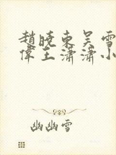 赵晓东吴雪晴郑伟王潇潇小说