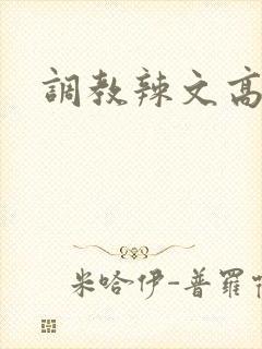 调教辣文高h
