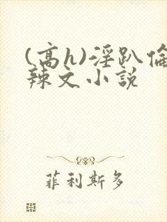 (高h)淫趴伦辣文小说
