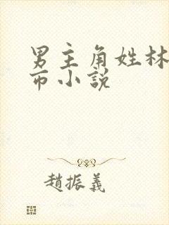 男主角姓林的都市小说封面