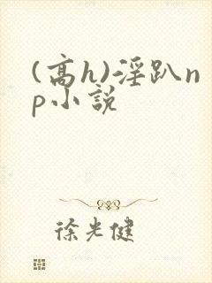 (高h)淫趴np小说