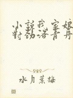 小说我家娘子不对劲洛青舟完结