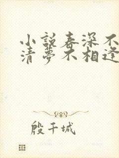 小说春深不归客清梦不相逢封面