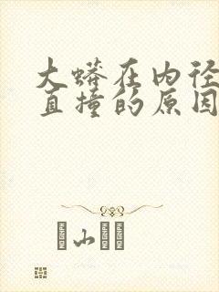 大蟒在内径横冲直撞的原因