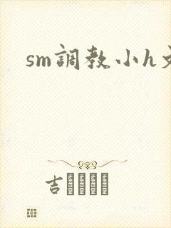 sm调教小h文封面